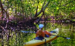 Andar en Kayak por canales de manglares en la Bahia de Jiquilico es fabuloso
